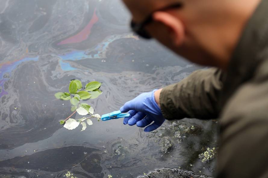 Željko Hladika/24sata