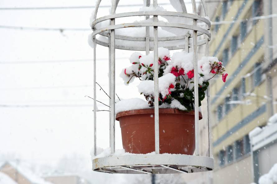 Sisak: Snijeg koji pada cijelo prijepodne zabijelio grad