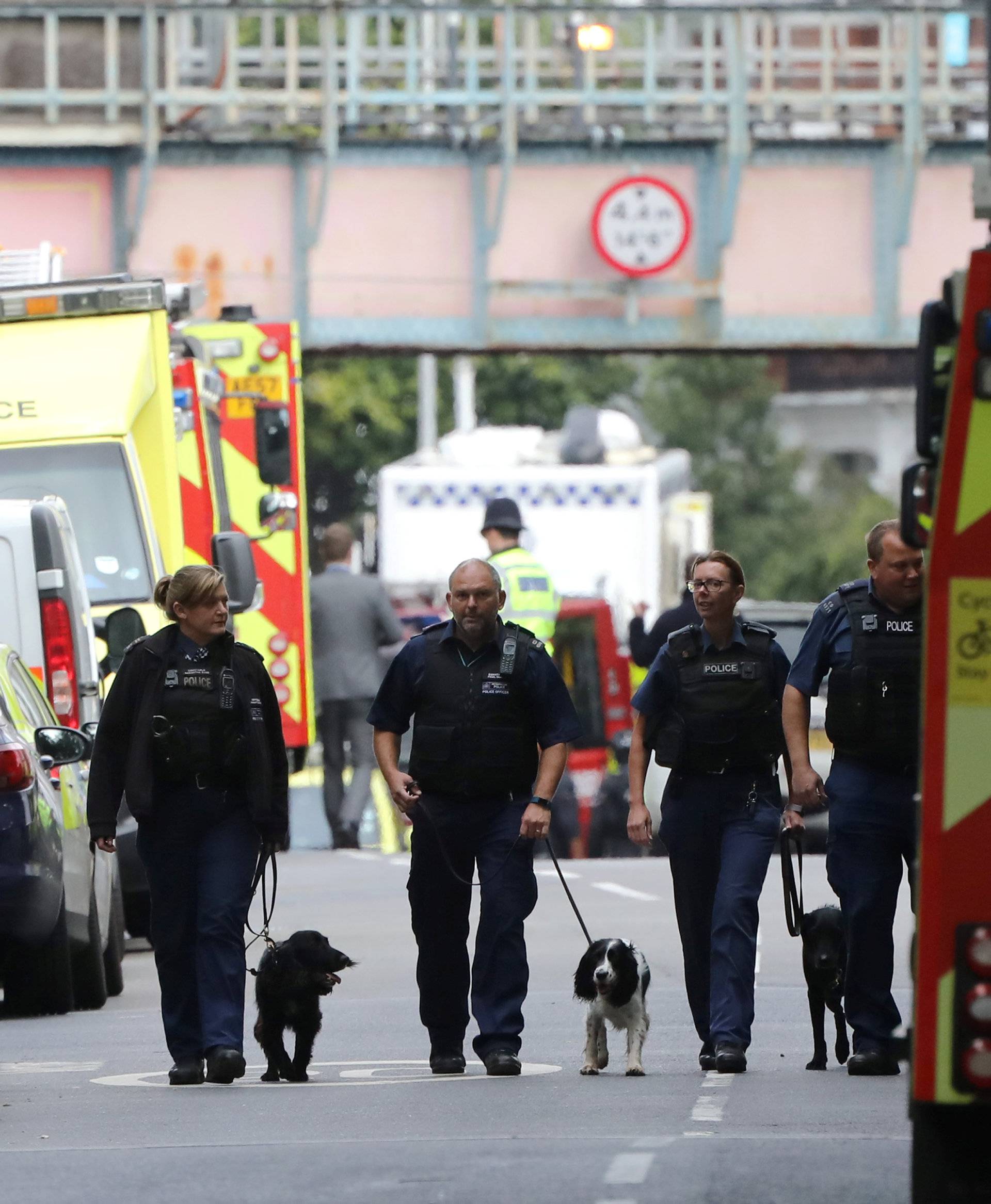 Police officers walk with dogs after an incident at Parsons Green underground station in London