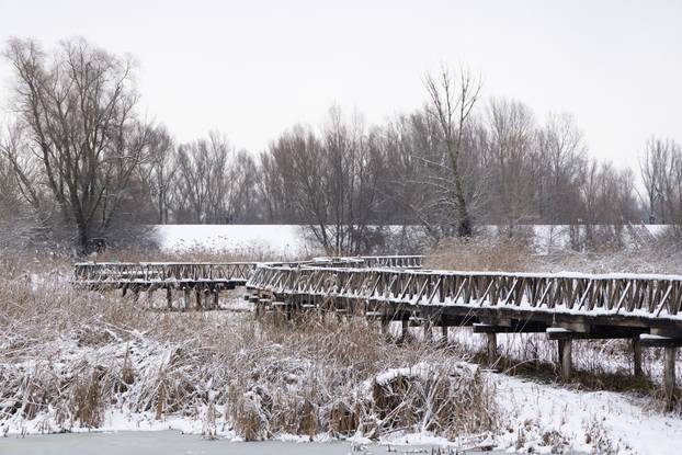 Kopački rit: Zimska idila u Baranji 