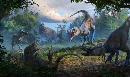 Fosil 'borbe dinosaura' dokazao je postojanje nove vrste: Nanotyrannus nije mladi T. rex