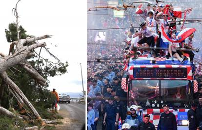 Opasna magistrala: Reži stabla jer ovuda prolazi bus Vatrenih!