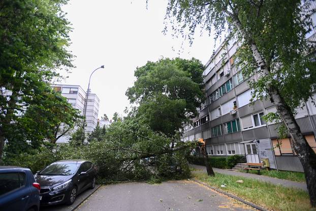 Zagreb: Olujni vjetar srušio stablo na cestu, tri automobila oštećena 