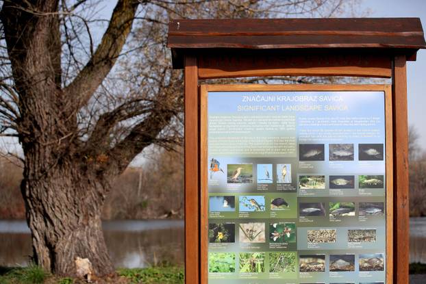 Sunčan dan na jezeru Savica