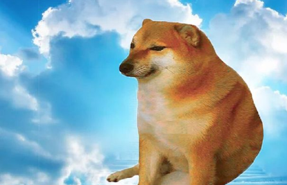 Uginuo je Balltze, pas koji je bio inspiracija za brojne memove: Vjerujemo da sad slobodno trči