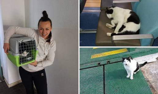 Na&scaron;la ga Jelena: &lsquo;Mijau: Evo me doma, bolje volje san odma'