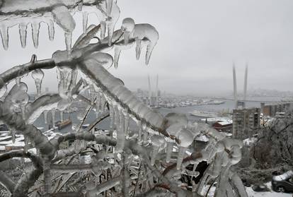 FILE PHOTO: Branches of a tree are coated with ice after freezing rain with a bridge over Golden Horn bay in the background in the far eastern city of Vladivostok, Russia