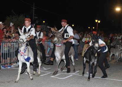 U Tribunju održana 55. tradicionalna utka magaraca