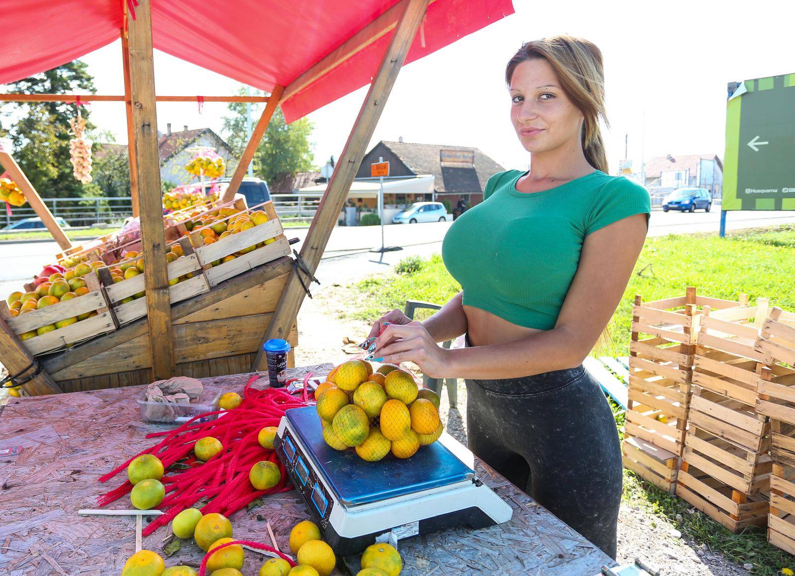 Gotovo 5000 Hrvata busevima po mandarine kod Kristine...