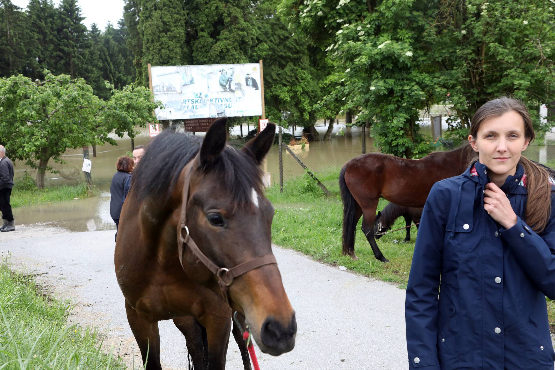 Kod Siska poplavljen kompleks za terapijsko jahanje nakon popuštanja nasipa