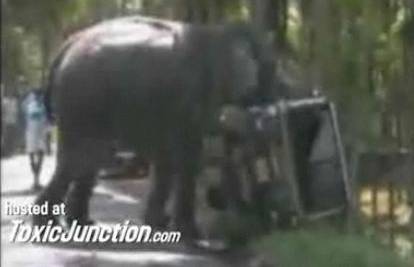 Razjareni slon "igrao se" s autom u selu u Indiji