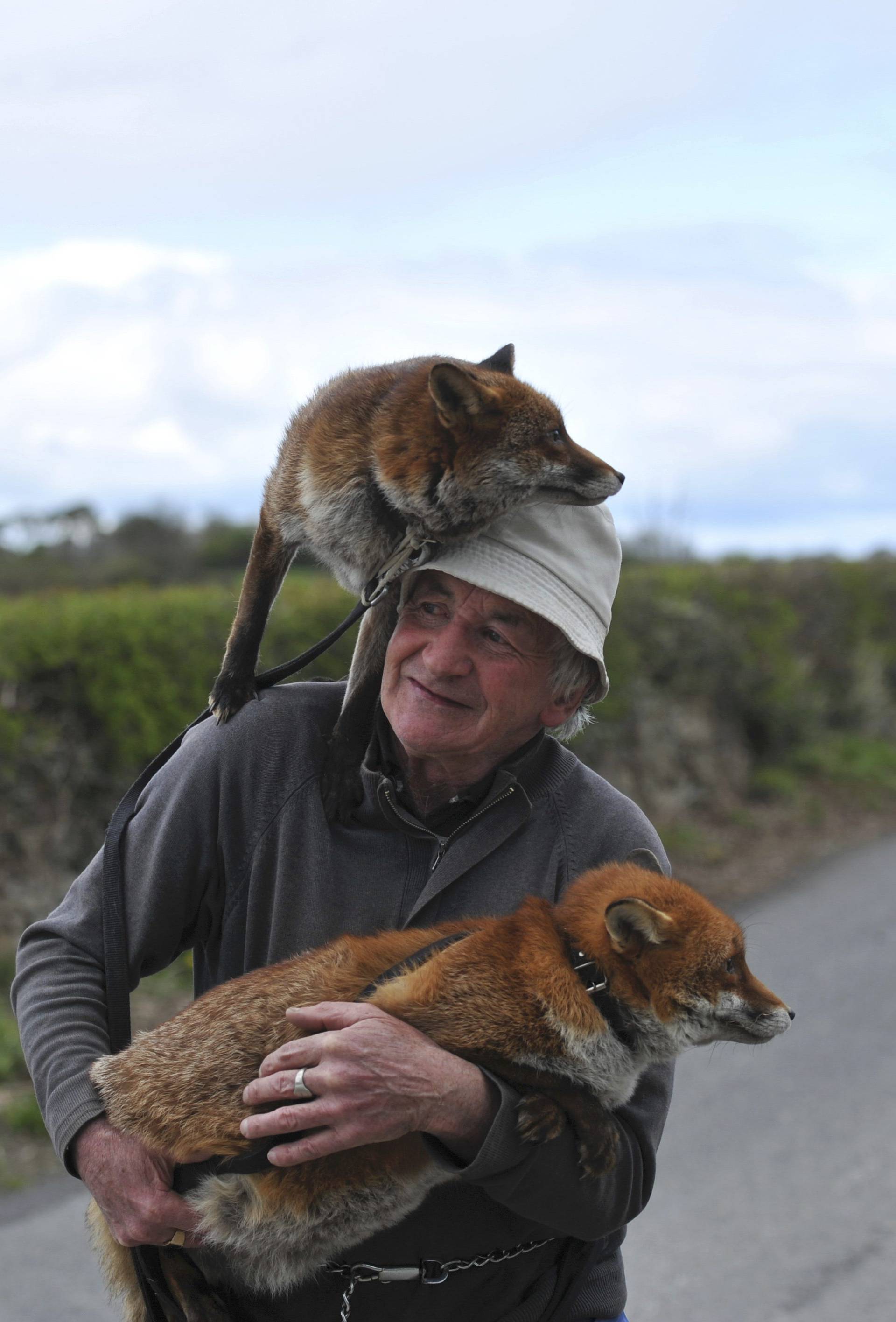 Patsy Gibbons takes his rescue foxes Grainne and Minnie for a walk in Kilkenny