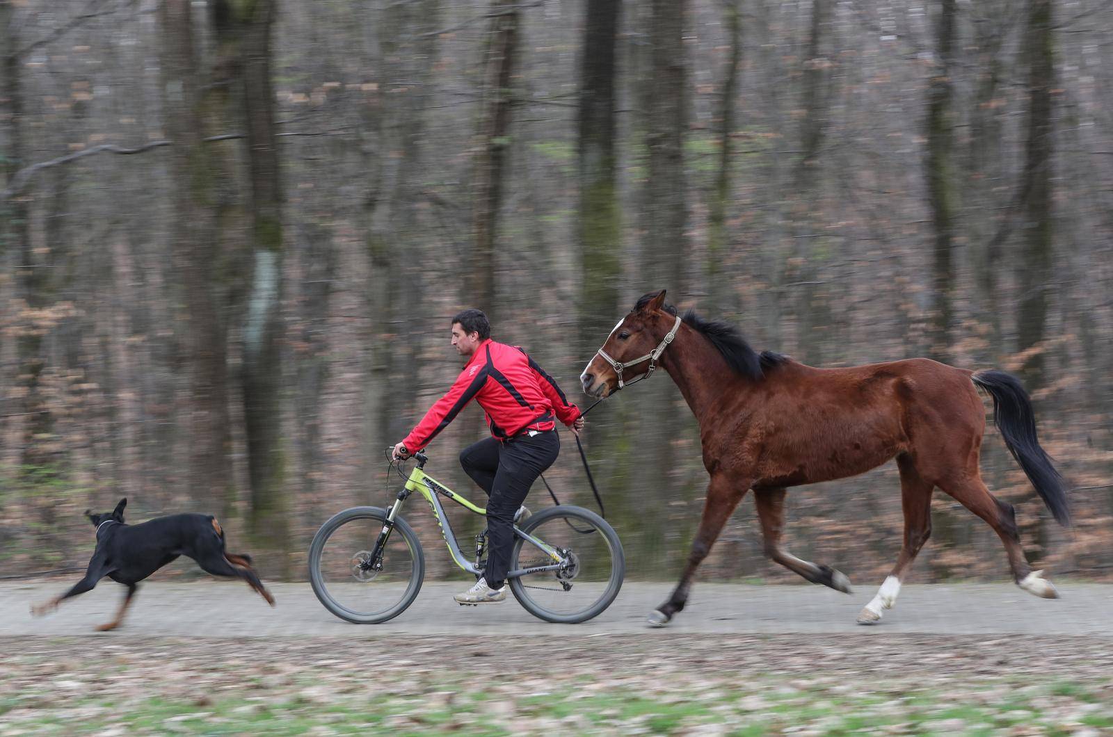 'Moj konj Kasper i ja jurimo šumama čak do 60 km na sat'