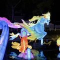 VIDEO Lampionima su osvijetlili gradove označivši početak nove godine - Godine Zmaja