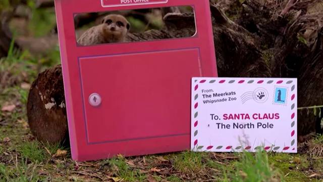 VIDEO Merkati u zoološkom vrtu Whipsnade poslali su Djedu Božićnjaku listu želja