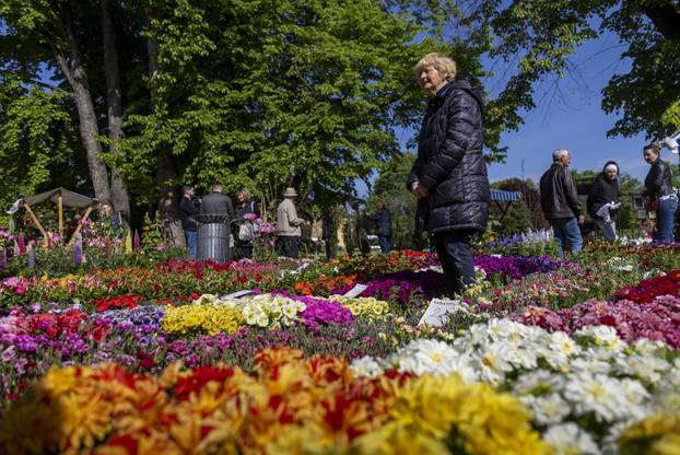 Osijek: 8. Festival cvijeća i drveća