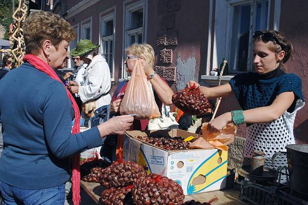 Hrvatska Kostajnica: Posjetitelji uživali 15. kostajni?koj kestenijadi