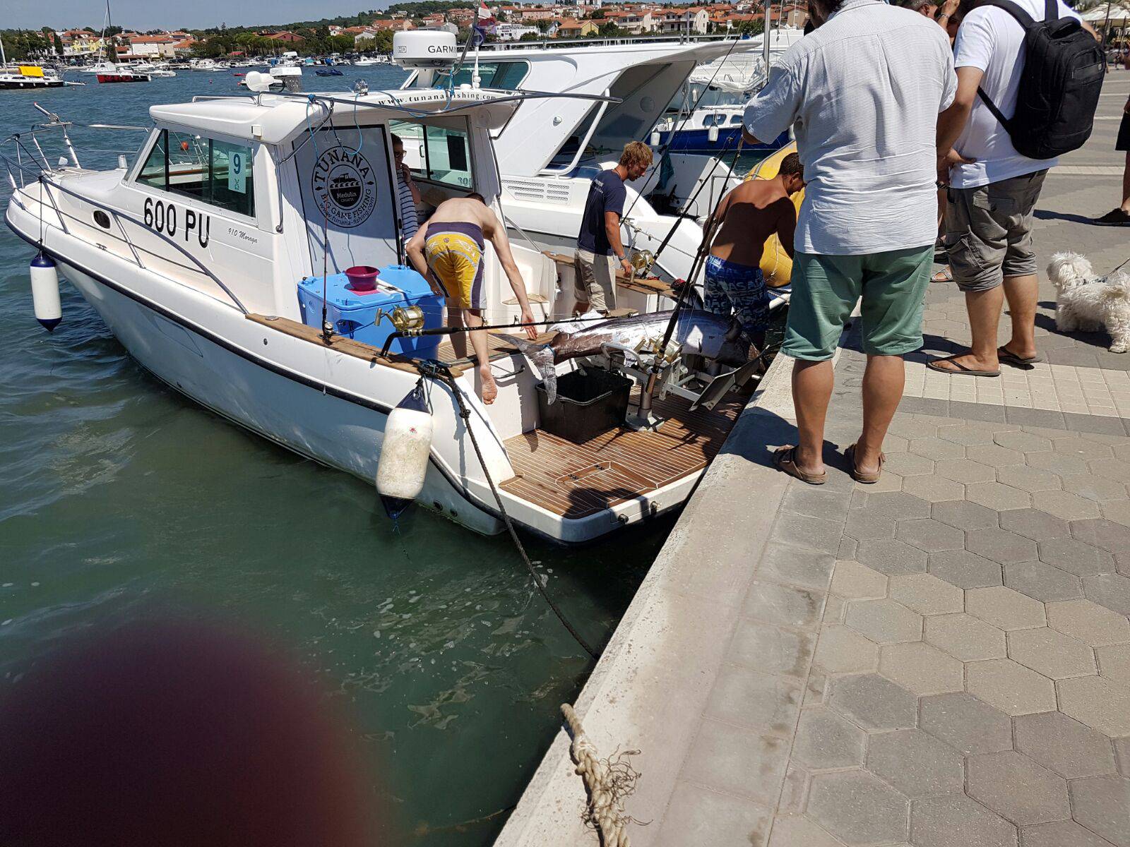 Trojica na jednu ribu: Morali su se čuvati da ih ne nabode...