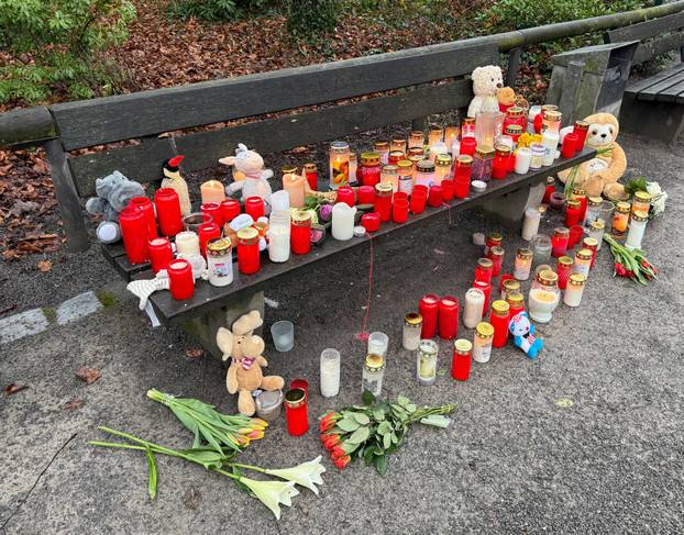 Afghan suspect arrested after two killed in knife attack in German park in Aschaffenburg