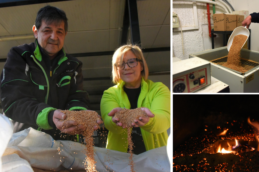 Galizana: Uljara Baioco prva u Hrvatskoj proizvodi ogrijev od koštica maslina