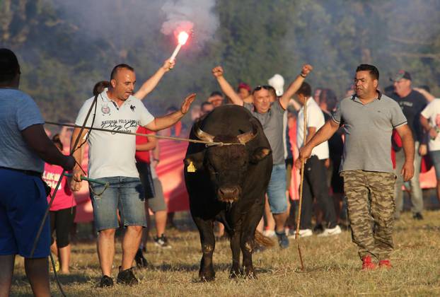 Tradicionalna 28. Seoska olimpijada i borba bikova u Radošiću
