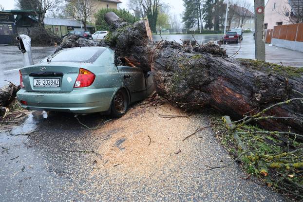 Zagreb: Nevrijeme srušilo stablo koje  je palo na automobil 