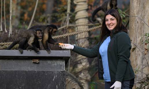 Elena je doktorica za majmune u zagrebačkom ZOO: 'Lemuri su me budili na Madagaskaru...'