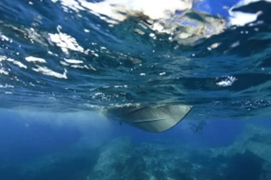 Veliko otkriće: Hrvatski arheolozi u timu koji je otkrio tri broda na dnu Mediterana