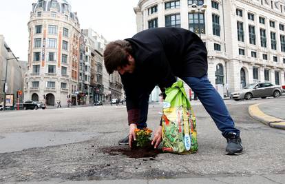 Nizozemac sadi cvijeće u rupe po briselskim prometnicama