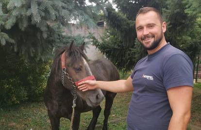 Konj lutao po Španskom, našla ga dva prijatelja: 'Vlasnici su se javili, došli su i već su ga odveli'