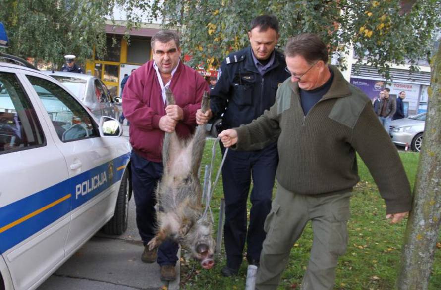 Kristina Štedul-Fabac/PIXSELL