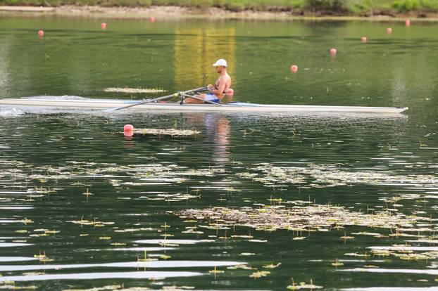 Zagreb: Veslačka staza na Jarunu prekrivena lopočima