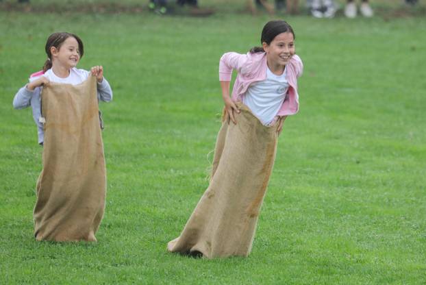 51. Olimpijada starih sportova u Brođancima