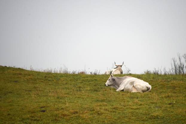 Vodice: Jesenja mističnost Ćićarije