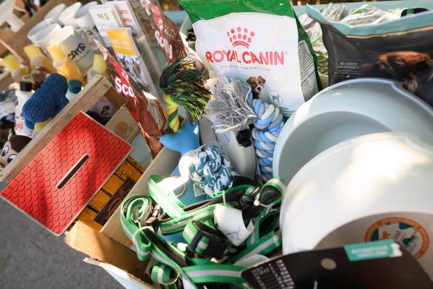 U skloništu Dumovec održan je prvi Dumovečki buvljak na kojem su građani mogli posjetiti sklonište te upoznati pse i mačke