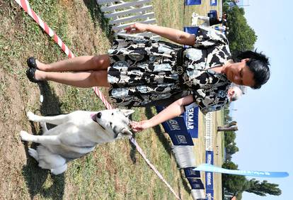 FOTO Preslatki psi oduševili su na nacionalnoj izložbi u Požegi