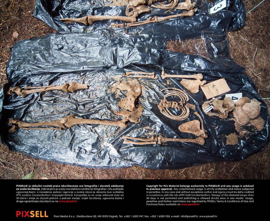 Grgo Jelavić/PIXSELL