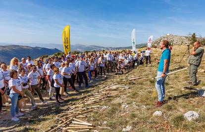 RBA i ove godine pomogla zazeleniti požarom opustošena područja Dalmacije