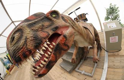 Pronađeni ostatci titanosaura koji je živio prije 70 milijuna g.