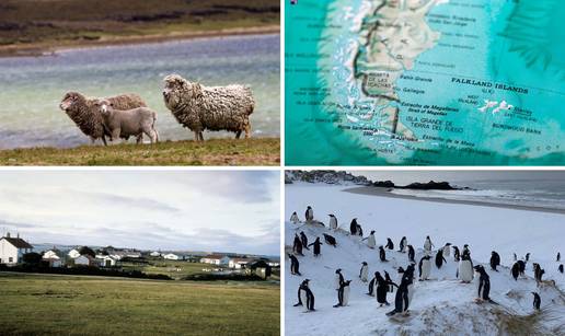 FOTO Carstvo pingvina i ovaca 'usred' oceana: Zbog Falklanda su Britanci i Argentinci i&scaron;li u rat