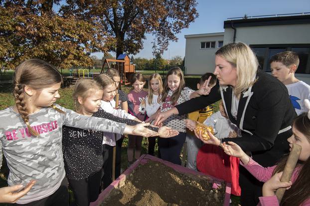 Varaždin: Učenici pete osnovne škole više od pet godina uzgajaju povrće u gredicama ispred škole