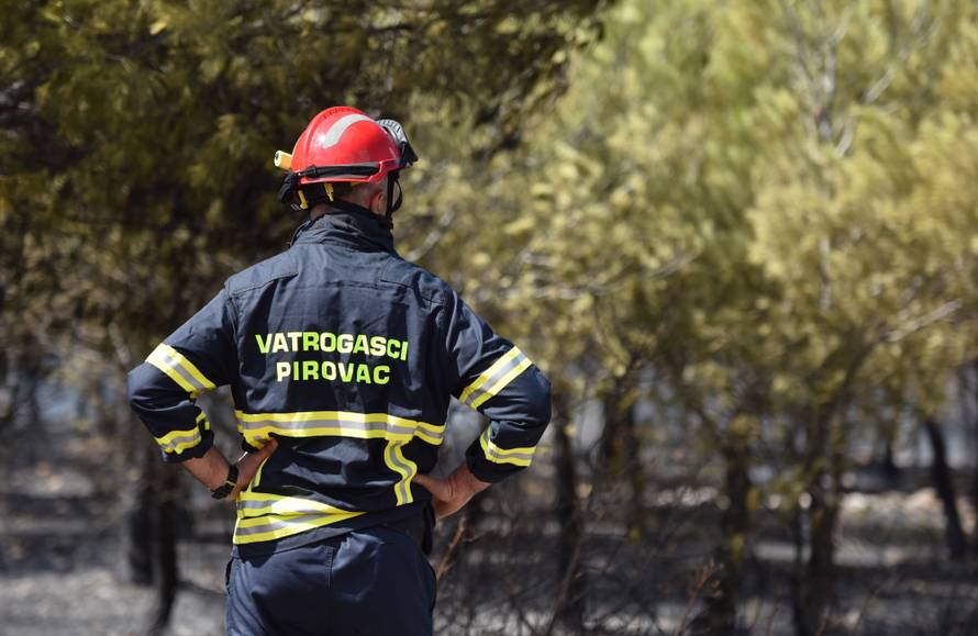 U Žaboriću gori borova šuma, vatrena stihija prijeti kućama