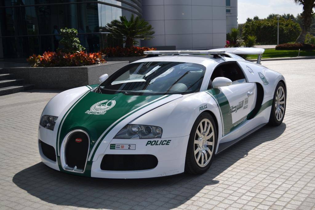 DubaiPoliceHQ/Twitter