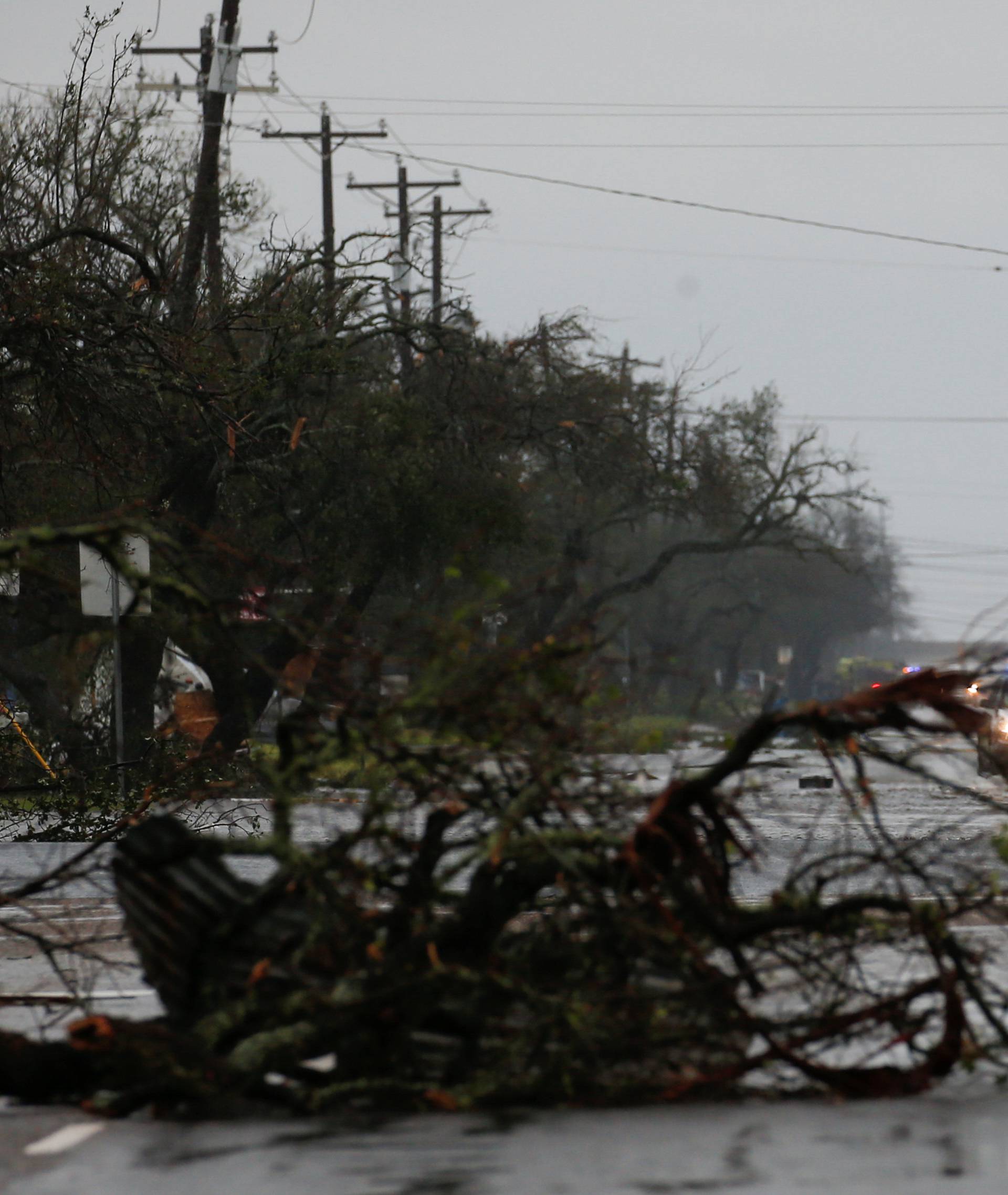 A fallen tree lies along a road as an emergency response team arrives to assess damage from Hurricane Harvey in Rockport