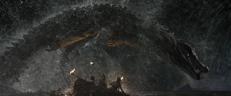 Blitz Film i Video distribucija