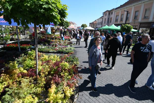 Najveći sajam cvijeća u Podravini privakao pažnju mnogobrojnih ljubitelja flore