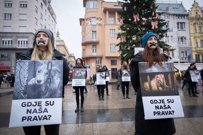 FOTO Izveli performans za prava životinja na Trgu bana Jelačića