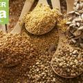 Bulgur, kvinoja, ječam - zrna života na jesenskom meniju