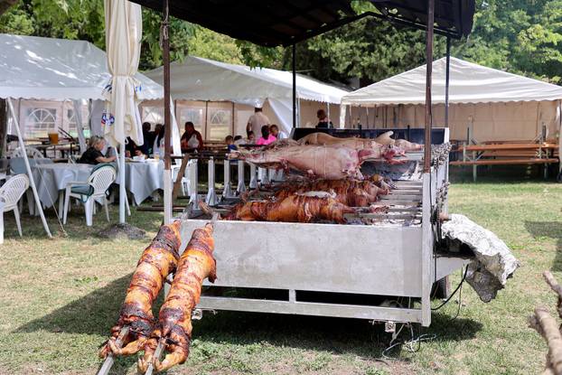 Sinj: Okupljanje ljudi u Sinju uoči 310. Sinjske alke