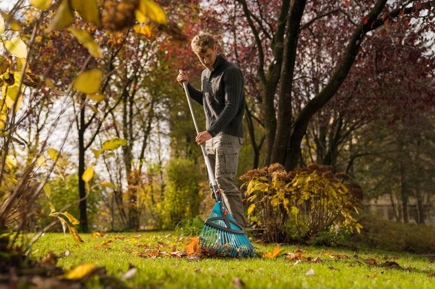 Jesenski poslovi u vrtu